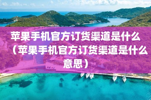 苹果手机官方订货渠道是什么（苹果手机官方订货渠道是什么意思）